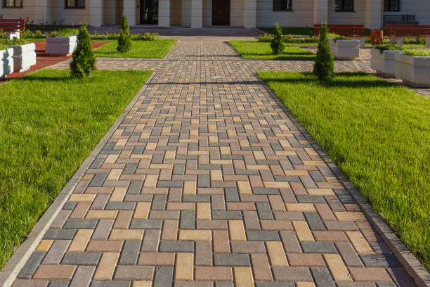 Best Driveway Pavers Contractor  in Willow Springs, MO